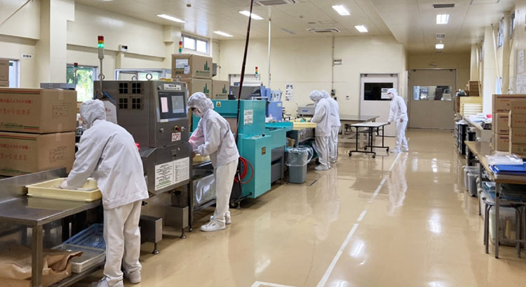 ミントタブレットの製造